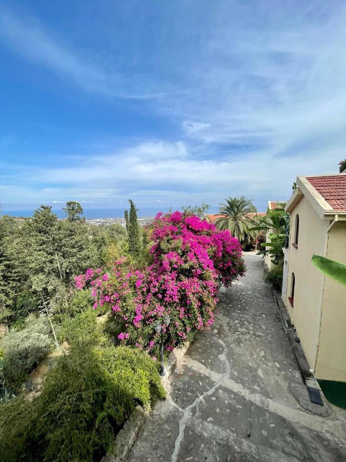 Bellapais Gardens Hostel Εξωτερικό φωτογραφία