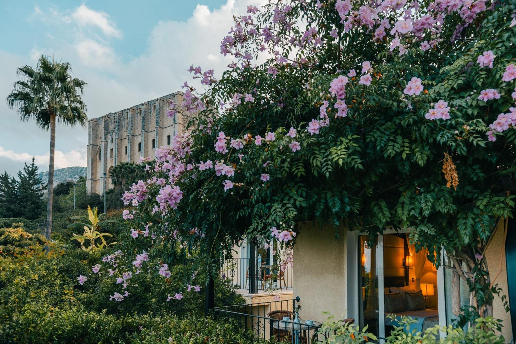 Bellapais Gardens Hostel Εξωτερικό φωτογραφία